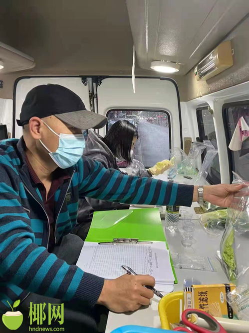 春節期間,?？跈z查各類市場主體1800余家次